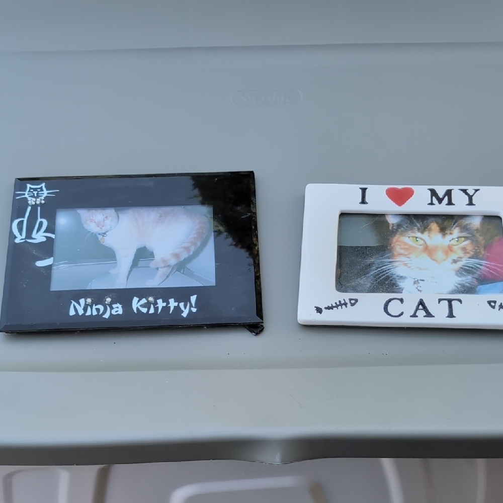 Ninja Kitty Black and White Cat Photo Frame Set